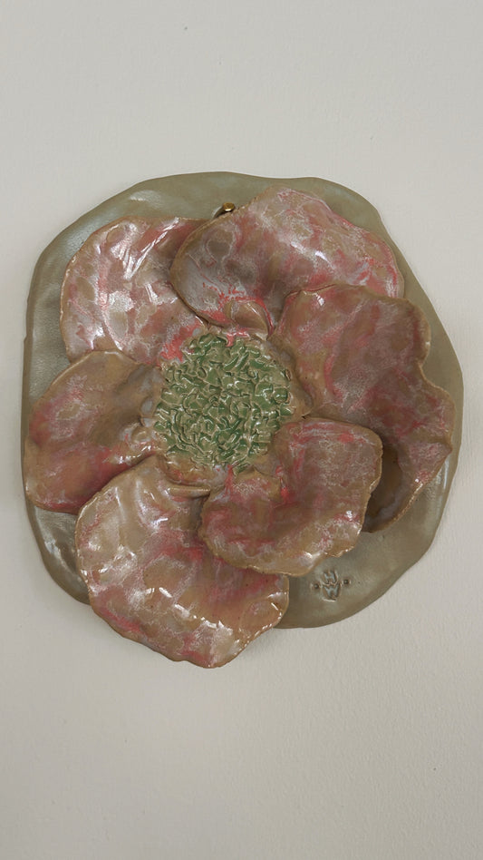 Väggblomma