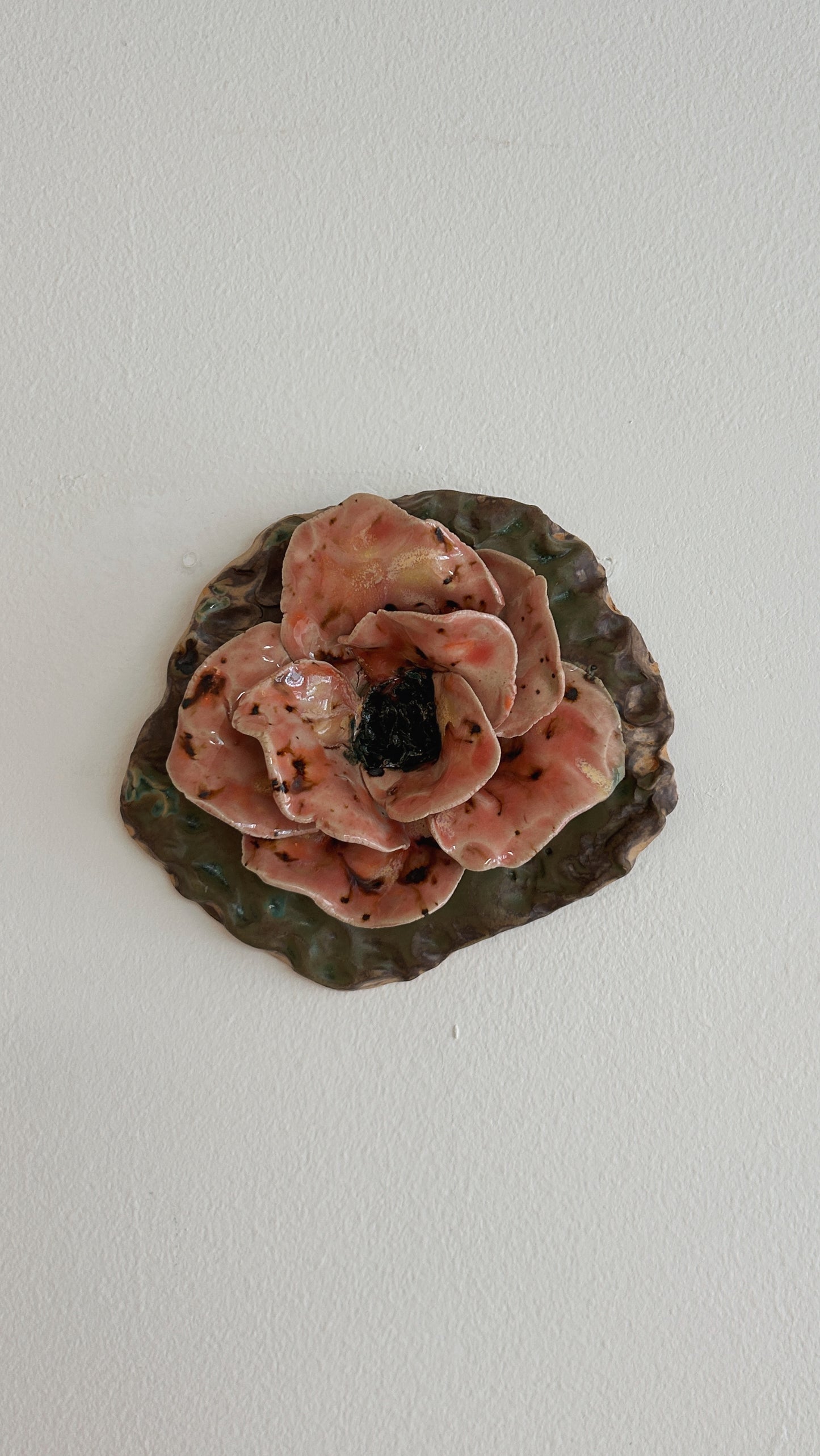 Väggblomma