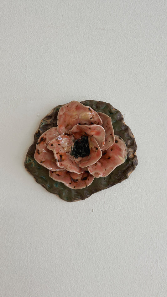 Väggblomma